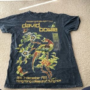 David Bowie Concert Ted